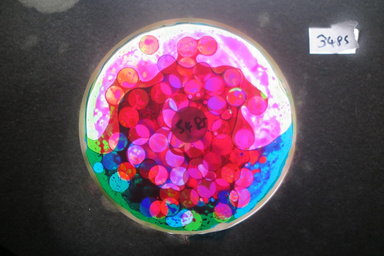 BV3485 bubble vision oil wheel